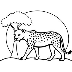 illustration of a leopard 