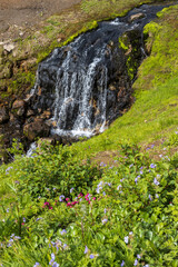 Summer mountain landscape. A small waterfall and a stream among the rocks on the mountainside. Travel on the Kamchatka Peninsula. Beautiful nature of the Russian Far East. Kamchatka Territory, Russia.