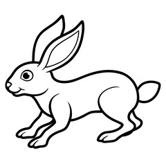rabbit and carrot