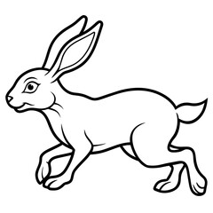rabbit and carrot