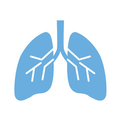 Vector icon of lungs on a white background. The vector icon of the lungs is blue. Take care of your health. Flat vector design. Graphic illustration of eps 10
