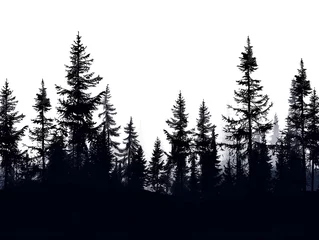 Fotobehang silhouette of pine forest on white,  Redwood tree-line silhouette © Anuson