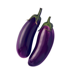 Two purple eggplants on a Transparent Background