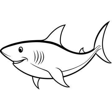 shark illustration with vector art
