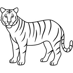 tiger cartoon isolated on white