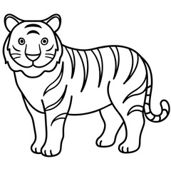 illustration of tiger