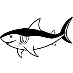 illustration of a shark