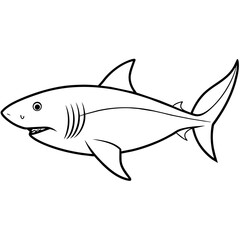 fish isolated on white