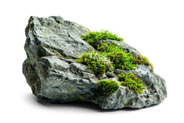 Mossy Rock Stone Isolated on White