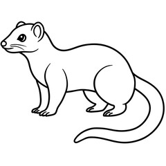 illustration of a mongoose
