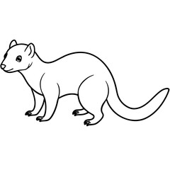 polar bear illustration