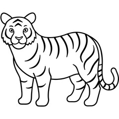 illustration of cartoon tiger