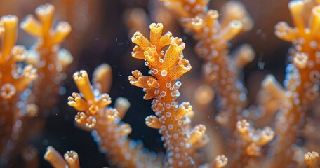 Blooming Beauty A Coral Reef in Focus Generative AI