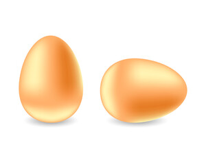 Realistic eggs on a white background
