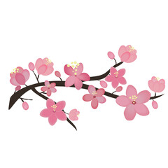 Blooming sakura branch. Vector illustration. Cherry blossom. Isolated on white background, japanese sakura flowers