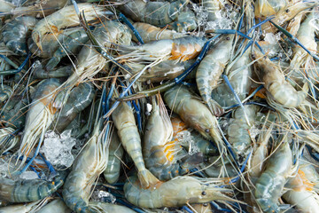 fresh large shrimp as a background.