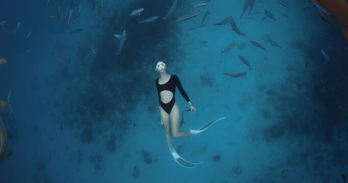 Woman freediver glides underwater in blue sea with sharks and tropical fishes.
