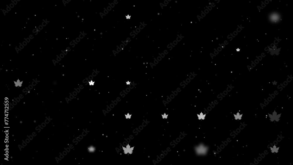 Poster template animation of evenly spaced maple leaf symbols of different sizes and opacity. animation of 