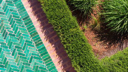 Designed Topiary Hedge from above