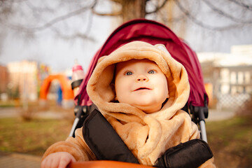 A small child dressed in a bear costume playfully rides in a stroller, creating a cute and whimsical scene. © Anton Dios
