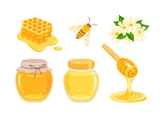 Honey jar, Bee, flowers, honeycomb and dripping honey from wooden dipper. Set of vector cartoon flat illustrations.