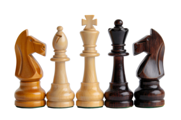 Chess figure piece for strategy board game isolated on background, business Intellectual game.