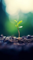 A small plant sprouting from the ground with a blurry background, AI