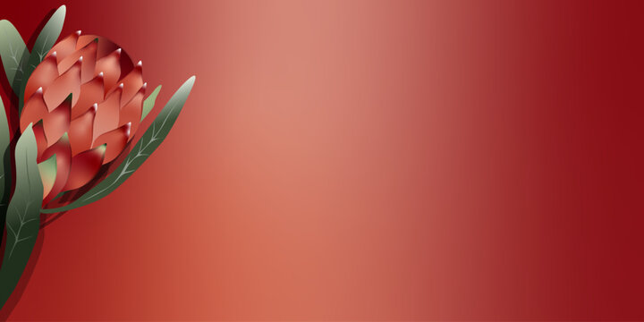 Bright red holiday vector background with exotic protea flower and gradient.