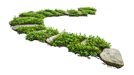 a photo of a garden pathway isolated on a white background PNG