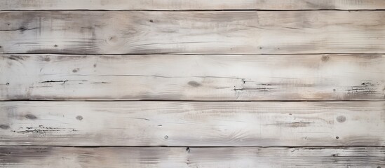 Detailed view of a wooden wall painted with a fresh coat of white, showcasing the texture and grain of the wood