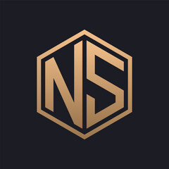 Elegant Hexagon Letter NS Logo Design. Initial Luxurious NS Logo Template