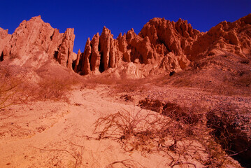 Desert Scene