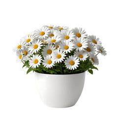 Daisy element in PNG format with transparent background