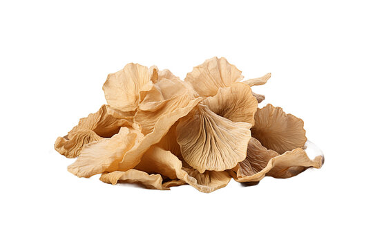 Dry Petha on transparent background.