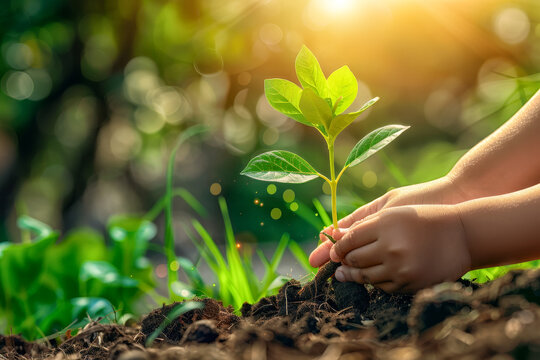 close-up image of children hand planting a sprouting plant with care, plant seedlings to preserve nature and forests. go green for Earth Day campaign.