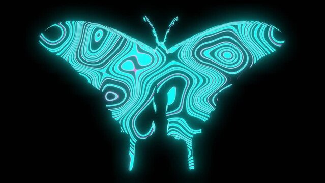 4K video animation of beautiful texture or pattern formation on the butterfly body shape, isolated on black background. 3d rendering abstract animation neon lighting effect on a butterfly.	