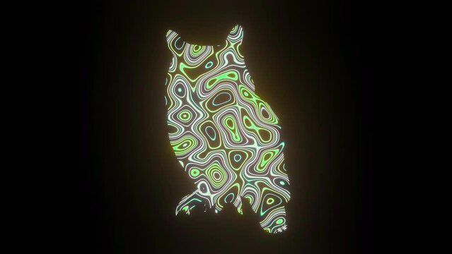 4K video animation of beautiful texture or pattern formation on the owl body shape, isolated on a black background. 3d rendering abstract loop animation neon lighting effect on an owl.
