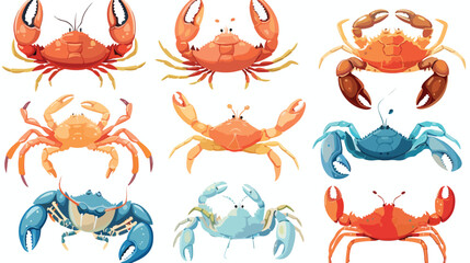 Cartoon shrimp and crab collection set Flat vector