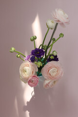 Ranunculus 