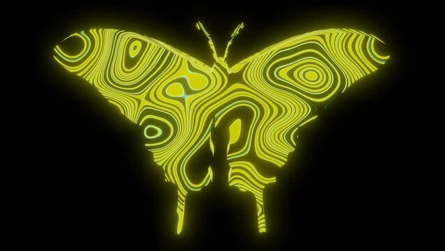 4K video animation of beautiful yellow texture or pattern formation on the butterfly body shape, isolated on black background. 3d rendering abstract loop animation neon lighting effect on butterfly.	
