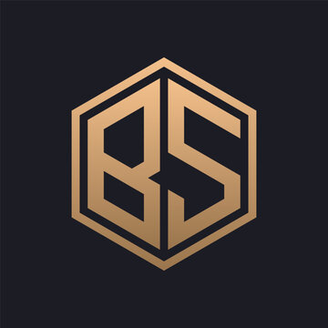 Elegant Hexagon Letter BS Logo Design. Initial Luxurious BS Logo Template