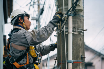 Electric Company Worker Inspecting a Utility Pole
