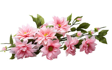 A cluster of vibrant pink flowers beautifully contrasted against a pristine white backdrop