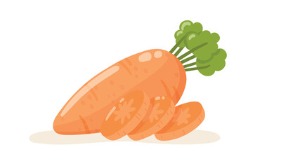 Carrot and slices. Isolated vegetable vector illustration