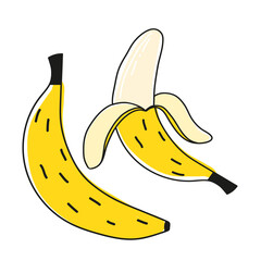 Yellow banana isolated on white background vector illustration.  Juicy fruit. 