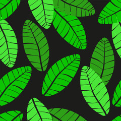 Seamless pattern green banana palm leaves on dark background. Vector illustration. 