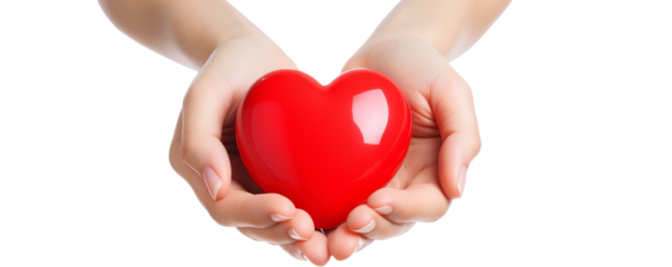 A red heart in his hands, a symbol of love. png image