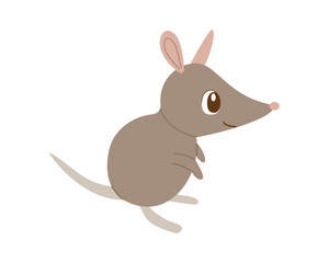 Rabbit Bandicoots. Cartoon zoo character, wild australian rodent, funny small cute nature pet, vector illustration isolated on white background