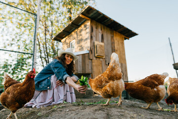 Woman Farmer Feeding Chickens, Sunny Morning at Home Farm Contentment in nature: A carefree, red-haired woman enjoys a retreat from city life to feed her farm chickens