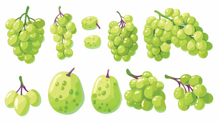 Cut ripe green grapes isolated on white set Flat vector